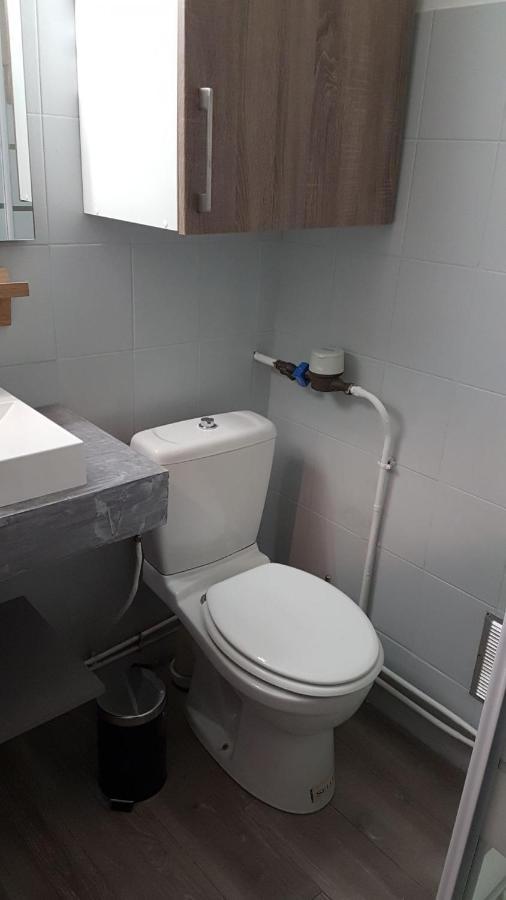 Montagnes Russes Appartement Grenoble Buitenkant foto